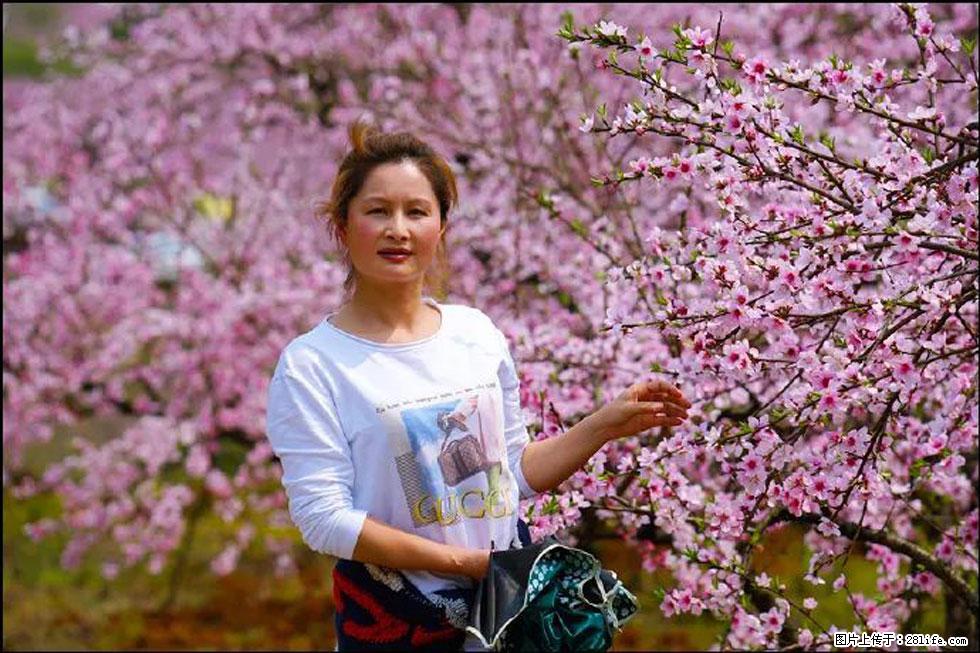 【春天,广西桂林灌阳县向您发出邀请!】官庄村有个醉美的桃花园 - 游山玩水 - 黔西南生活社区 - 黔西南28生活网 qxn.28life.com