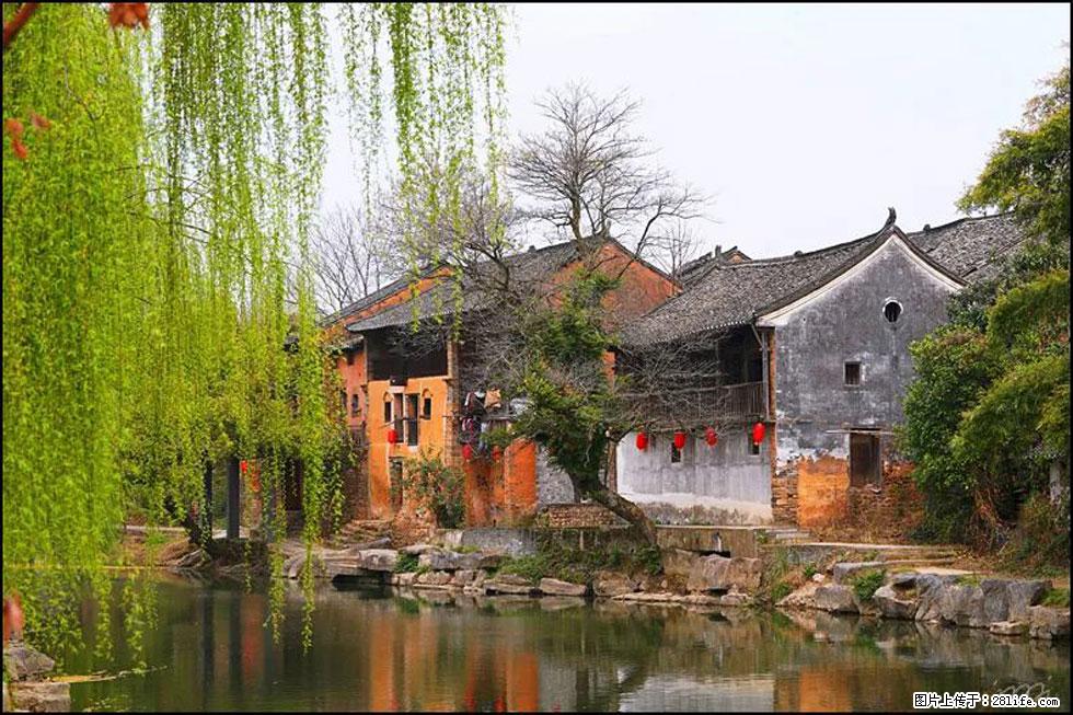 【春天,广西桂林灌阳县向您发出邀请!】江口老街又逢春 - 游山玩水 - 黔西南生活社区 - 黔西南28生活网 qxn.28life.com
