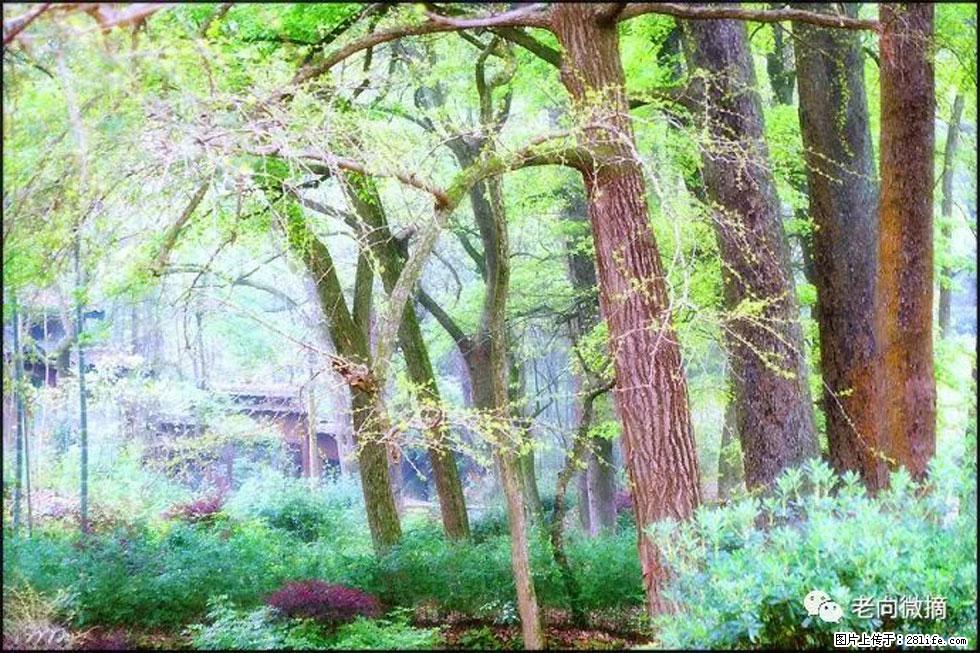 【春天，广西桂林灌阳县向您发出邀请！】在小龙村与春天约会 - 游山玩水 - 黔西南生活社区 - 黔西南28生活网 qxn.28life.com