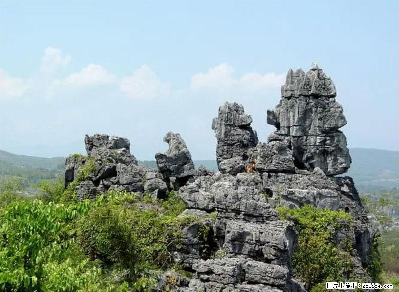 桂林旅游名城景点:灌阳文市石林 - 游山玩水 - 黔西南生活社区 - 黔西南28生活网 qxn.28life.com