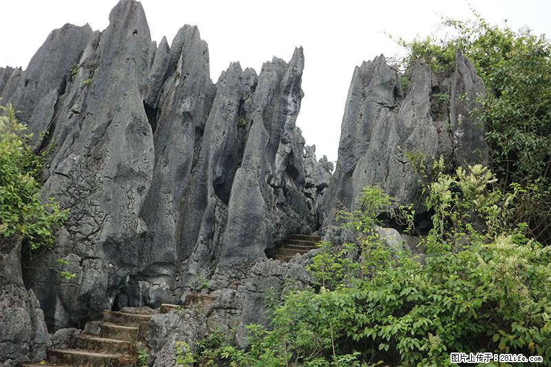 桂林旅游名城景点:灌阳文市石林 - 游山玩水 - 黔西南生活社区 - 黔西南28生活网 qxn.28life.com