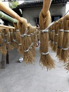 【灌阳正宗红薯粉】美女家里自己做的,干净卫生,假一赔十,价格合理,抢购电话:13737312895 - 黔西南28生活网 qxn.28life.com