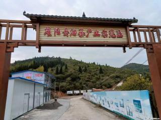 【灌阳县油茶产业示范区】一个有着充实的精神生活的人，对待身外之物自会有一种淡泊的态度 - 黔西南28生活网 qxn.28life.com