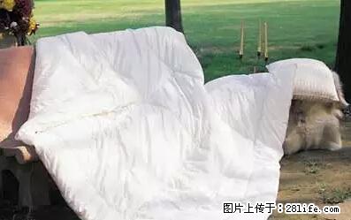 被子有异味?只要这样做,比晒太阳还强100倍! - 家居生活 - 黔西南生活社区 - 黔西南28生活网 qxn.28life.com