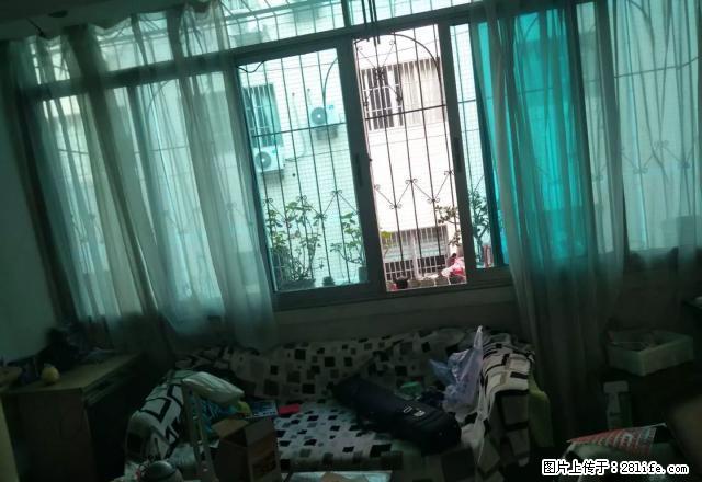 向阳路学位房,精装修三楼步梯房 - 房屋出租 - 房屋租售 - 黔西南分类信息 - 黔西南28生活网 qxn.28life.com