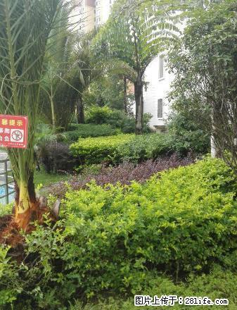 兴义蓝天花园 3室2厅130平米 简单装修 年付 - 房屋出租 - 房屋租售 - 黔西南分类信息 - 黔西南28生活网 qxn.28life.com