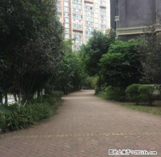 大盛房产 御景园好房出租 - 黔西南28生活网 qxn.28life.com