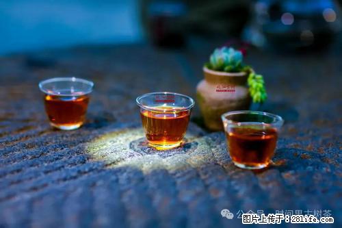 时间果百年古树2025年春红茶 - 购物交流 - 黔西南生活社区 - 黔西南28生活网 qxn.28life.com