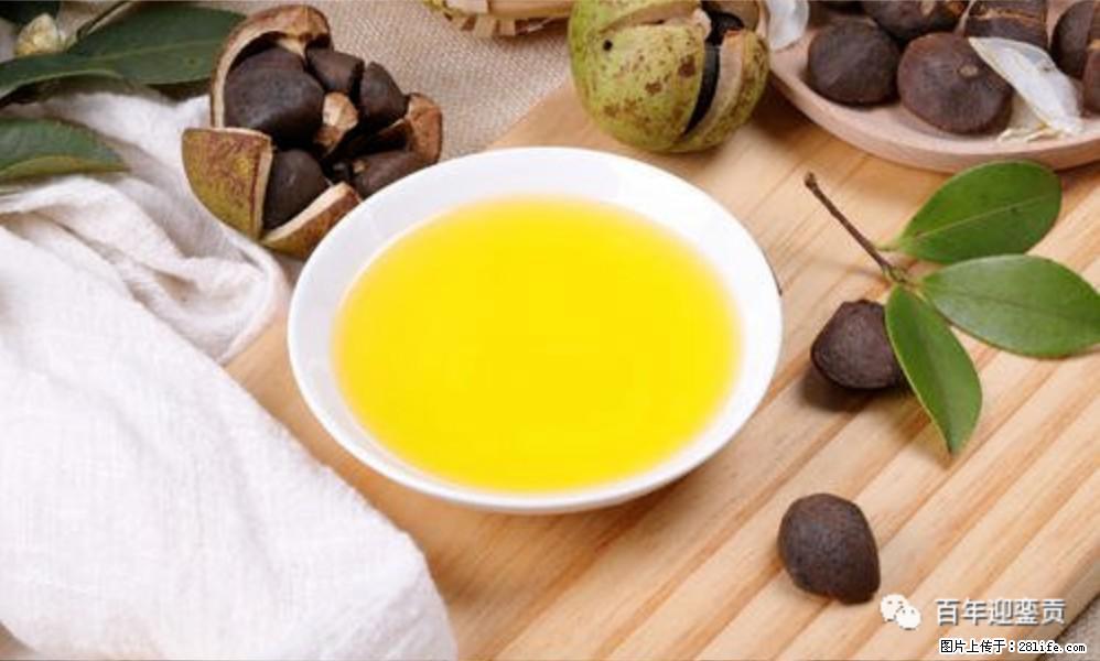 揭秘茶油的5大核心营养成分!被称为人体健康的“守护盾”! - 黔西南生活资讯 - 黔西南28生活网 qxn.28life.com