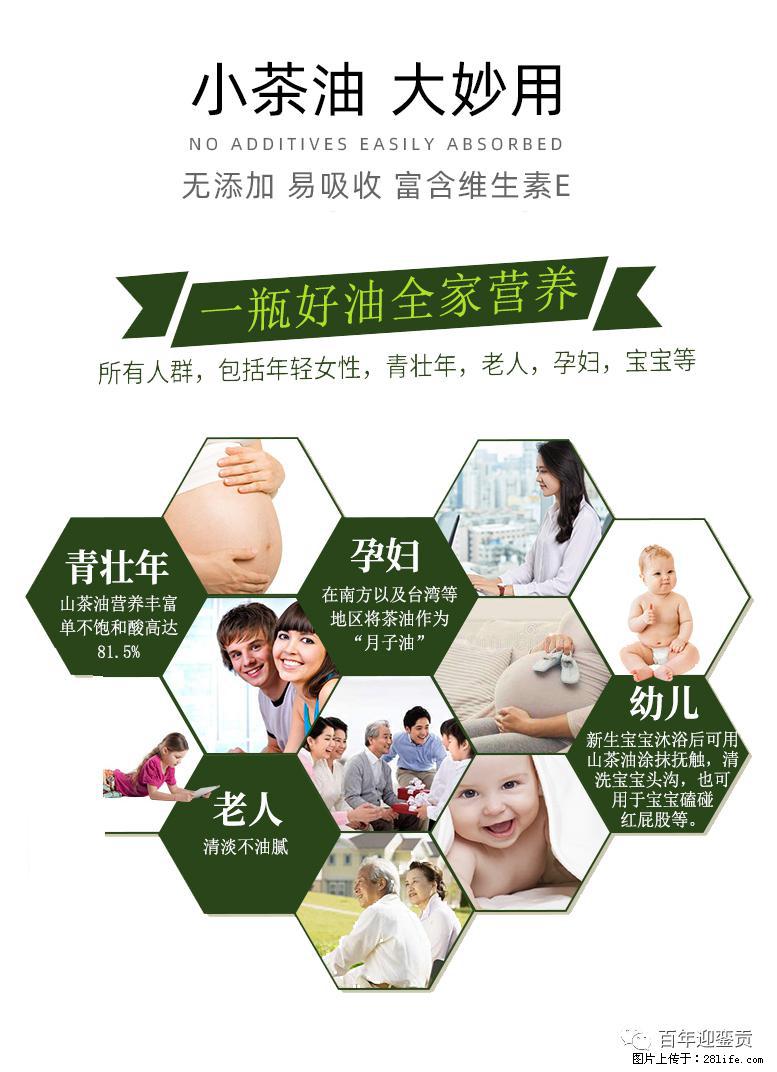 世界没有真相,只有认知,最好的食用油是中国的山茶油! - 黔西南生活资讯 - 黔西南28生活网 qxn.28life.com