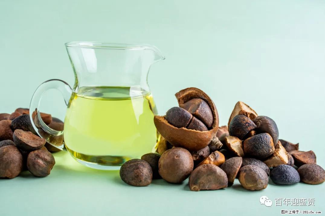 世界没有真相,只有认知,最好的食用油是中国的山茶油! - 黔西南生活资讯 - 黔西南28生活网 qxn.28life.com
