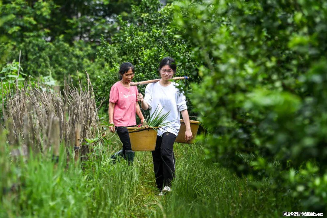 全网追的“扁担女孩”,找了一份暑假工,时薪12元 - 黔西南生活资讯 - 黔西南28生活网 qxn.28life.com