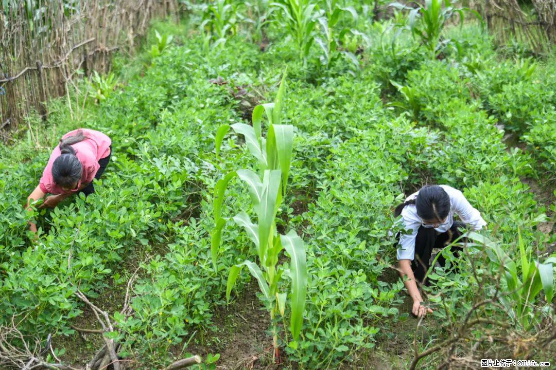 全网追的“扁担女孩”,找了一份暑假工,时薪12元 - 黔西南生活资讯 - 黔西南28生活网 qxn.28life.com