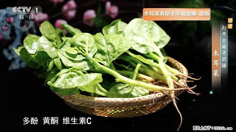 比牛奶补钙还厉害!凉血解毒、稳血糖...这菜冬天必吃,很多人却当草 - 黔西南生活资讯 - 黔西南28生活网 qxn.28life.com