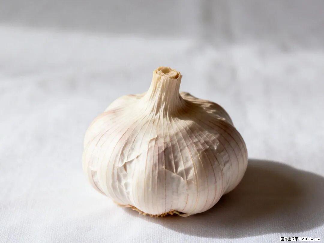 关于大蒜，除了“天然抗生素”，这4个谣言更该警惕! - 黔西南生活资讯 - 黔西南28生活网 qxn.28life.com